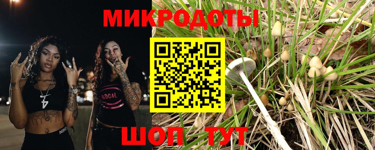 Псилоцибиновые грибы MAGIC MUSHROOMS Нальчик