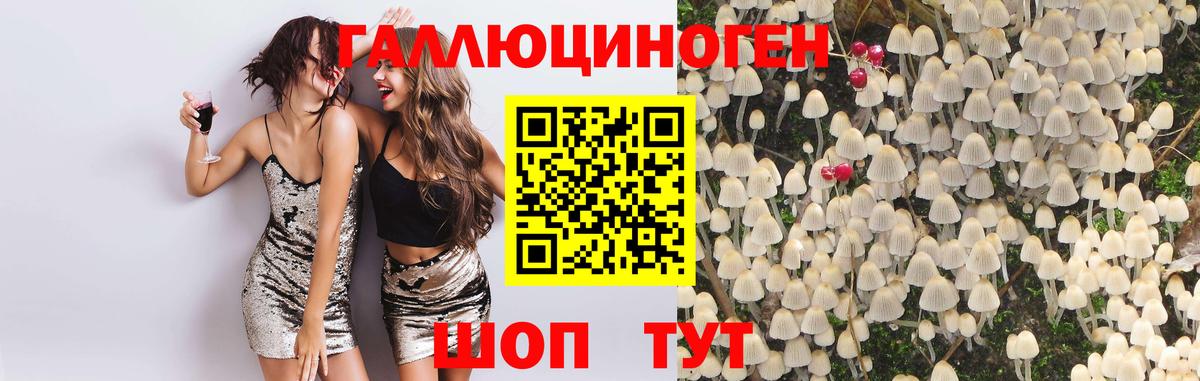 Галлюциногенные грибы Psilocybe  Псилоцибиновые грибы Psilocybine cubensis  Вход с VPN  Нальчик 